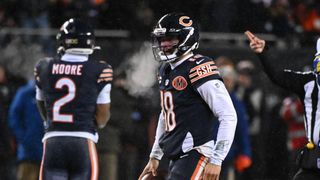 Illinois Senate adjourns without Bears' stadium vote (NFL)