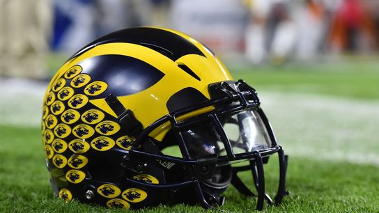 Michigan football pauses team activities (College Football)