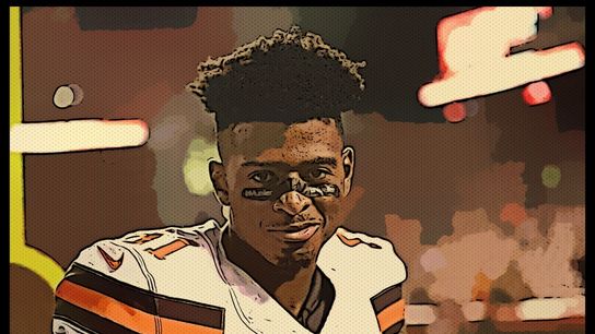 Browns WR Higgins to miss time with sprained knee (Features)